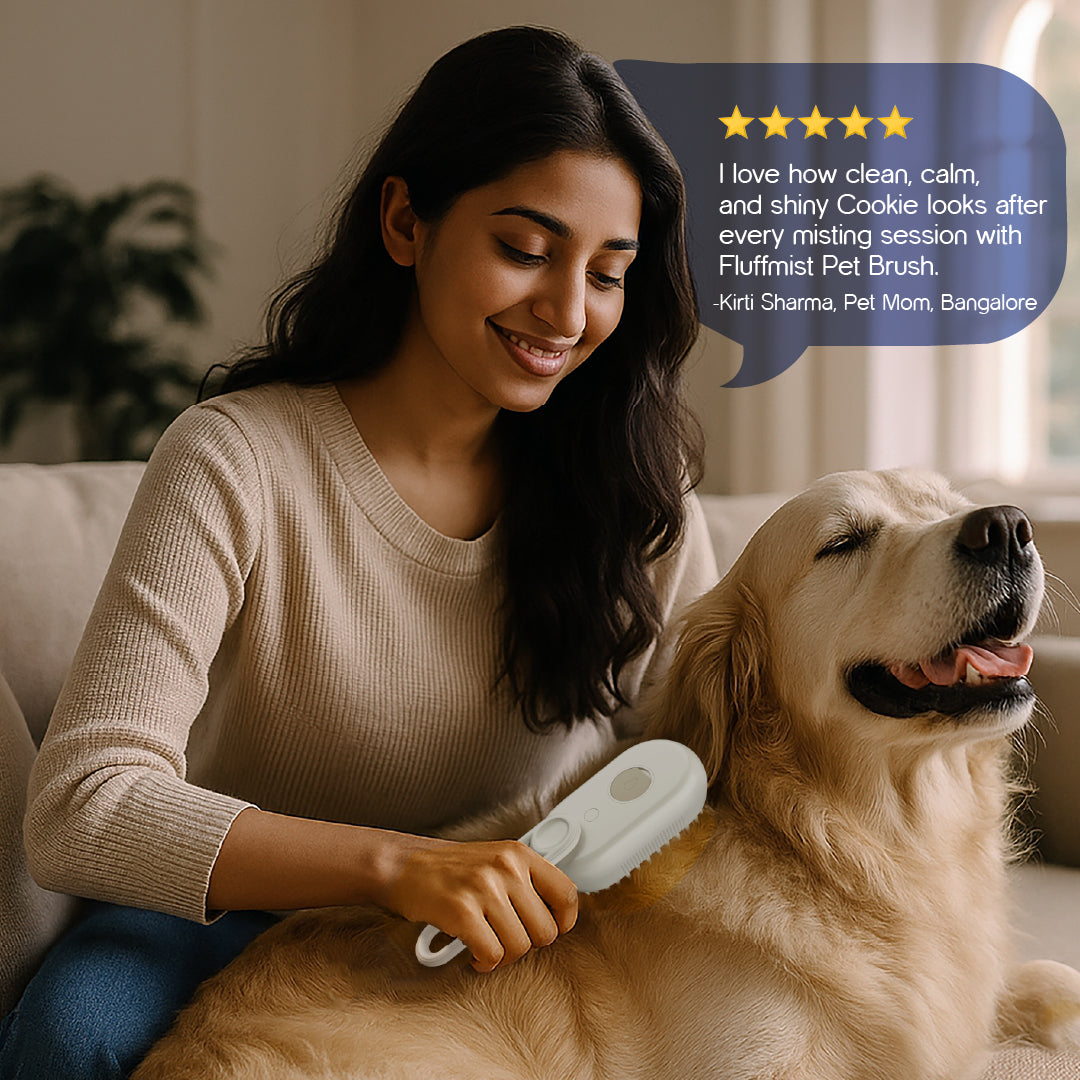 QuirkyPick™ 🌟 2-in-1 Pet Brush – Steam Mist Grooming Tool